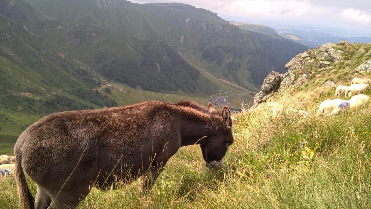 Camping Les Vernieres La Bourboule Sancy ภายนอก รูปภาพ